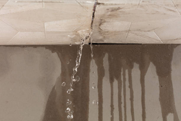 Professional Sewage Cleanup technician working in Beulah, MI